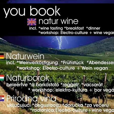 Bed & Breakfast Vegan Bor Harkany