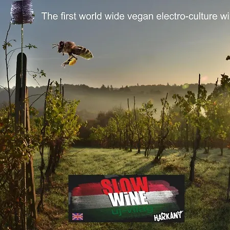 Vegan Bor * Харканы
